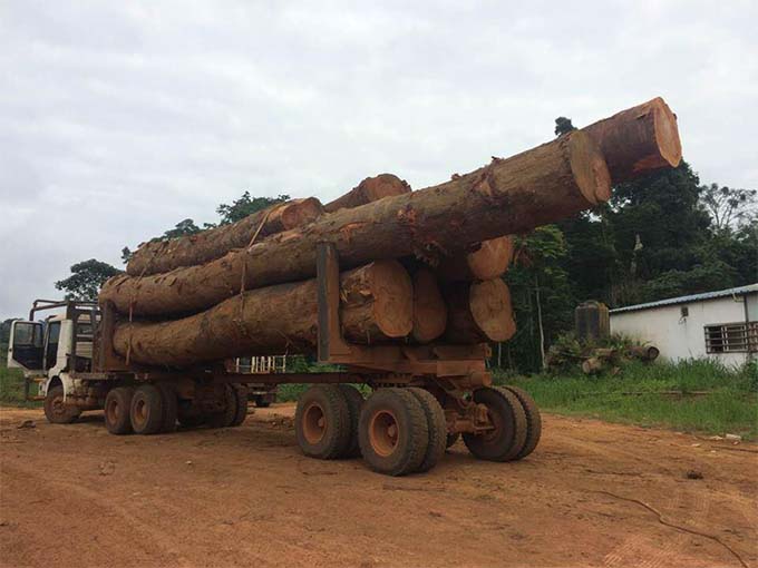 All About Logging Truck Accidents and How You Can Avoid Them
